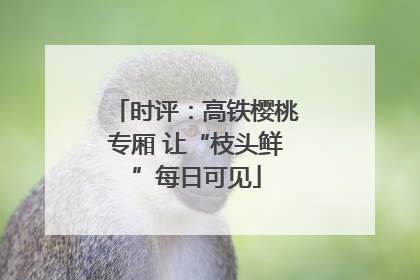 时评：高铁樱桃专厢 让“枝头鲜”每日可见